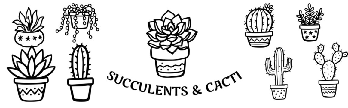 Succulents and cacti Doodle Vector Illustration