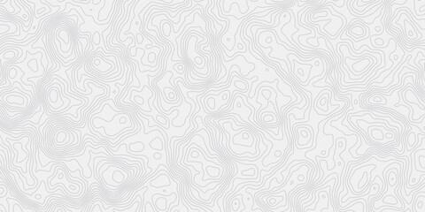 Fototapeta premium Abstract Discovery Topographic Map Banner Texture Background With Seamless Contour Relief Design Elegant White Wave Paper Curved Terrain Surface Illustration With Modern Land Outline Pattern