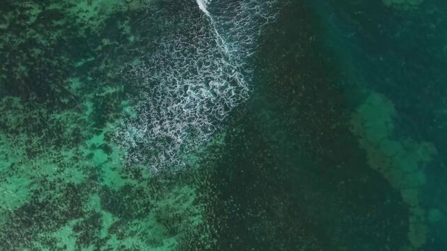 Aerial view of vibrant coral reefs and turquoise ocean water with a small breaking wave in Praslin, Praslin, Seychelles.