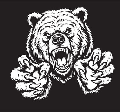 angry bear attacking drawing art design