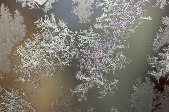 Ice crystals at glass pane