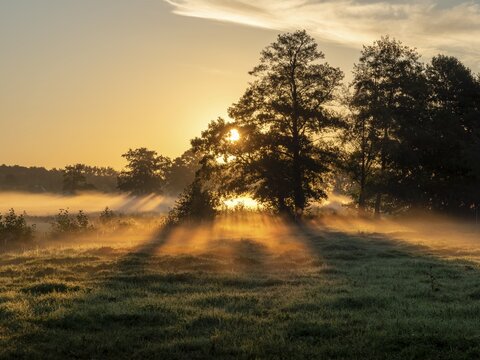 Morning mist over the meadows and floodplains, shining sunbeams, Schlepzig, Spreewald, Brandenburg, Germany