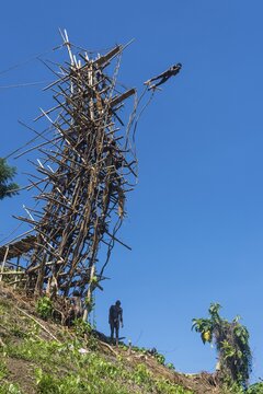 Man jumping from a bamboo tower, Pentecost land diving, Pentecost, Vanuatu