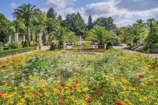 Palm garden with flower borders in the historic spa gardens, Bad Pyrmont, Weserbergland, Lower Saxony, Germany