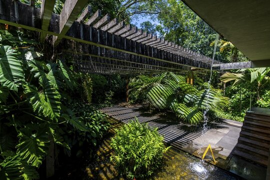 Sitio Burle Marx site, a landscape garden, Rio de Janeiro, Brazil