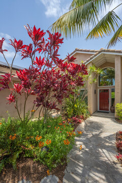 Residential front garden view California.
