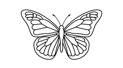 Butterfly illustration - a simple outline of an insect's wings © matahari