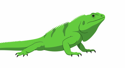 Fototapeta premium A brightly colored green reptile with a spiky dorsal crest and sharp claws on its feet