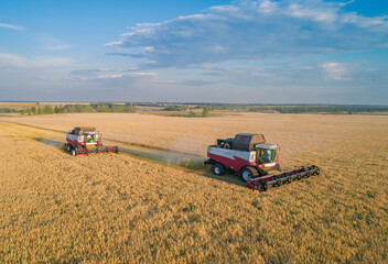 Fototapeta premium Aerial view captures combine harvesters diligently working a vast golden wheat field at sunset, kicking up dust