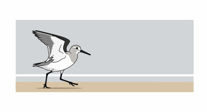A sandpiper in motion on a sandy shore, with wings outstretched against a grey sky
