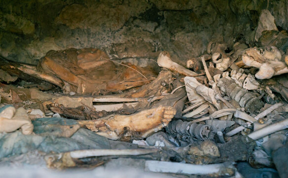 Interior view of an ancient Dargavs burial crypt, revealing human skeletal remains and deteriorated textiles