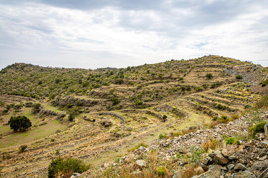 Sawdah mountain slopes in Abha featuring rugged terraces, scattered shrubs, and dry grass illuminated by soft sunlight breaking through clouds, serene highland landscape. Asir Saudi Arabia