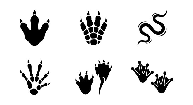 Animal Paw Prints and Tracks Vector Icons Set, Wildlife Footprints Silhouette Collection