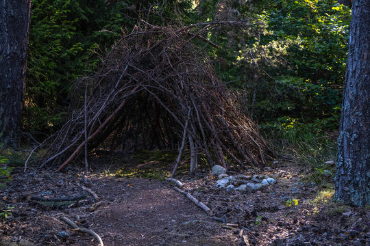 Summer background with a hut made of tree branches in a forest. Lean-to shelter in the forest.
