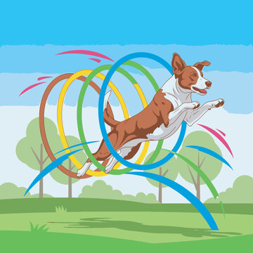 A dog jumps through colorful hoops in a lively outdoor agility event freely