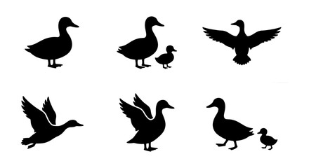 Fototapeta premium Duck Silhouettes Collection, Bird Icons, Wildlife Graphics, Animal Vector Set