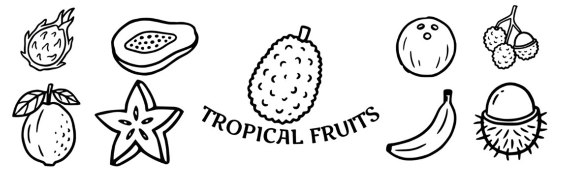 Tropical fruits Doodle Vector Illustration