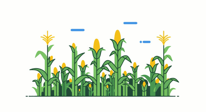 A vibrant, flat illustration of a bountiful cornfield under a clear sky