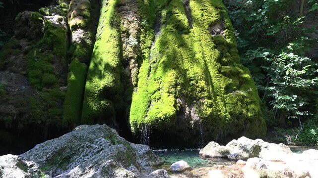 Lush Moss Covered Rock Waterfall Cave Nature Detail. Vibrant Green Mossy Rock Waterfall in Forest Cave.