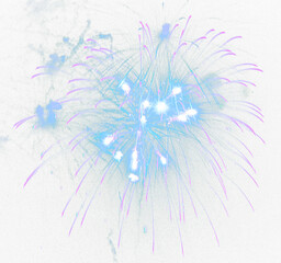 Exploding blue and purple fireworks bursting with light during a night celebration isolated on transparent background © shahadatarman 0