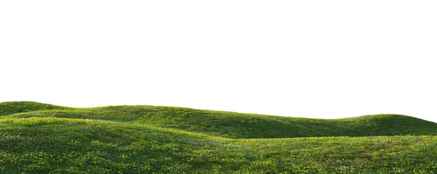 Rolling grassy hill terrain isolated on transparent background for landscape and environment design asset. 3D rendering.