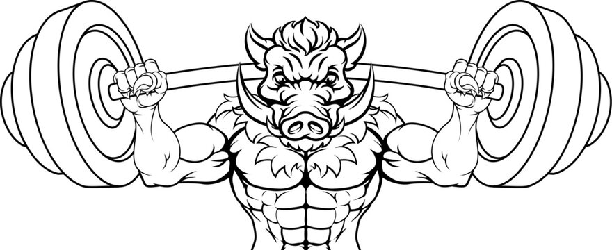 A boar razorback hog weight lifting gym animal sports mascot lifting a barbell