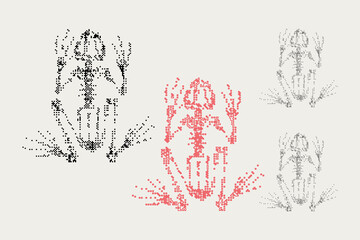 Obraz premium Frog Skeleton Bitmap Pixel Art Abstract Illustration