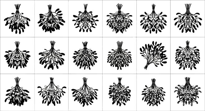 Set of black and white illustrations of various seaweed or kelp arrangements on a clean white background