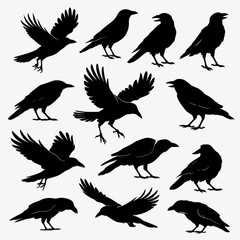 Obraz premium Perched, Standing, and Flying Crows and Ravens Silhouette Vector Illustration