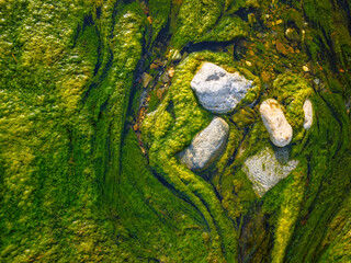 Musgo en el agua del arroyo © Juanmi