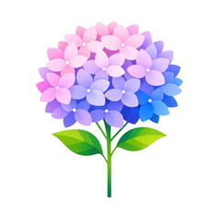 Obraz premium PNG Vibrant hydrangea flower illustration.
