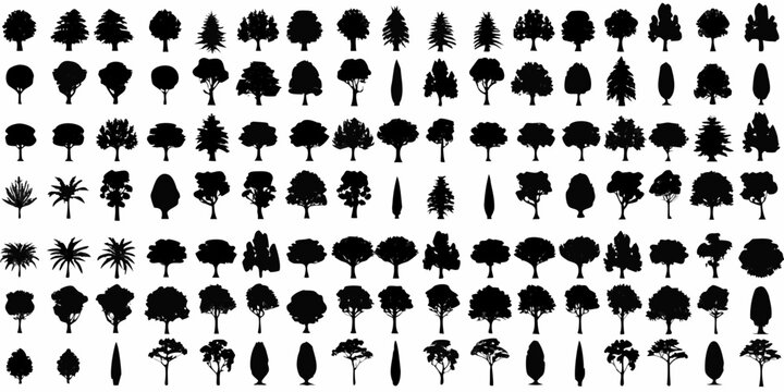 Collection of black tree silhouettes on a white background various shapes and species