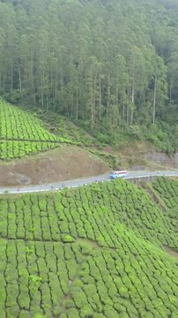 Vertical aerial view of winding roads through lush tea plantations in Munnar Kerala India