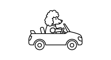 Fototapeta premium Cute poodle dog driving a convertible car, cartoon style, black and white outline