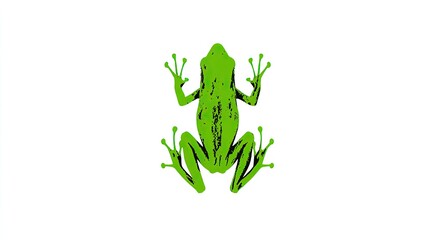 Fototapeta premium Stylized illustration of a bright green amphibian viewed from above on a plain background
