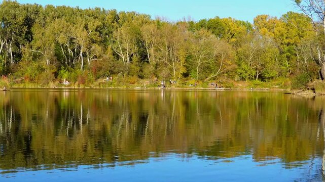 Lake Water Ripples With Tree Reflections in Wide Static Shot