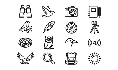 Fototapeta premium Birding activity thin line icons showing avian life and amateur nature research set.