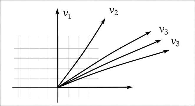 "Vector system on grid coordinate plane with multiple arrows"