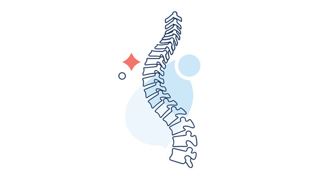 Minimalist blue outline illustration of a human spine representing chiropractic health, orthopedic care, and vertebral alignment.