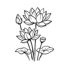 Obraz premium PNG Elegant lotus flower line art