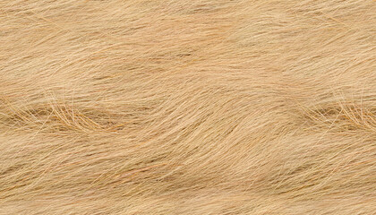 Fototapeta premium Close-up view of light brown natural fibers with a wavy, textured pattern, resembling straw or animal fur.