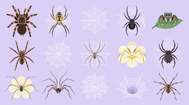 Collection of Various Spiders and Spiderwebs Isolated on a Light Purple Background