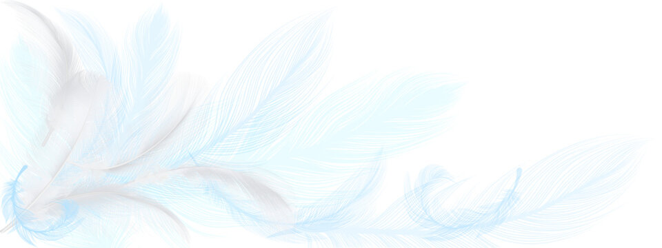 background of white and blue feathers on a transparent background.Close-up, long.ai