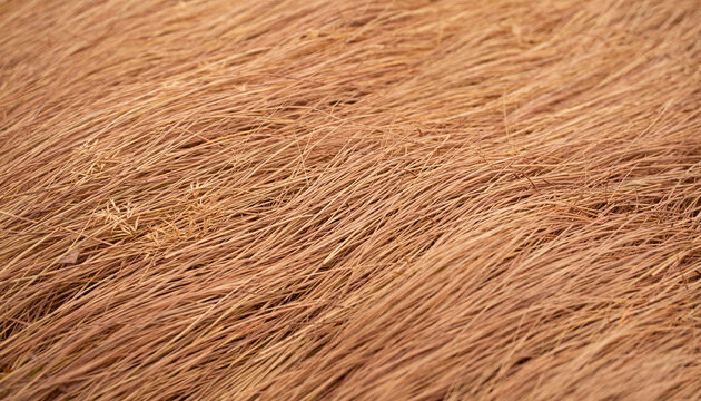 Close-up view of dry, reddish-brown straw or thatch material with a textured surface.