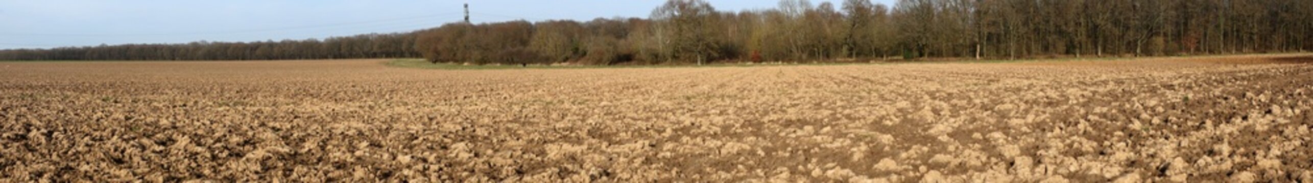 Panoramic view of open field and forest around Vauhallan - Essonne - &Icirc;le-de-France - France