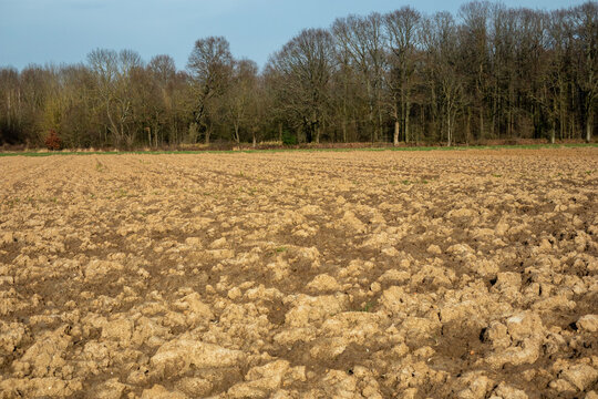 Forest around Vauhallan - Essonne - &Icirc;le-de-France - France