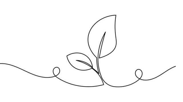 Nature protection leaf icon continuous one line art single drawing on white background minimal environment conservation symbol 4k animation video