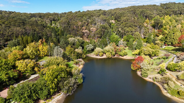 Mount Lofty Botanic Garden, Adelaide Hills, South Australia &ndash; 4K Aerial Drone Image of Autumn Foliage, Lakes, Walking Trails, Vibrant Trees, Scenic Hillside Gardens in South Australia&rsquo;s Countryside