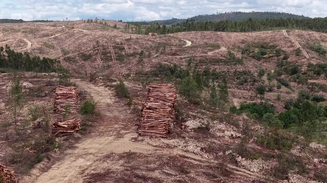 Aerial view of deforested hills with stacks of harvested timber and dirt paths under a cloudy sky in Portugal.