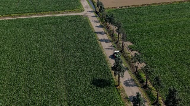 A Solitary Journey: An aerial view captures a lone car driving on a tree-lined road cutting through vast, green agricultural fields, suggesting a peaceful countryside passage.